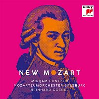 Reinhard Goebel – Sinfonia Concertante after Serenade No. 10 in B-Flat Major, K. 361 "Gran Partita" (Arr. for Orchestra)/III. Adagio
