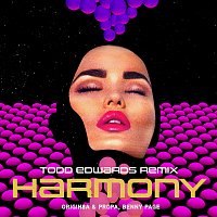 Origin8a & Propa, Benny Page – Harmony [Todd Edwards Remix]