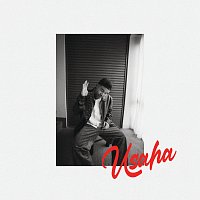 A. Nayaka – Usaha