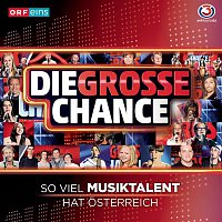 Various  Artists – Die grosse Chance