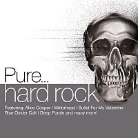 Přední strana obalu CD Pure... Hard Rock