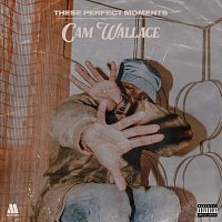 Cam Wallace – These Perfect Moments