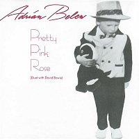 Adrian Belew – Pretty Pink Rose