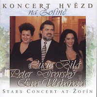 Lucie Bílá, Peter Dvorský, Eva Urbanová – Koncert hvezd FLAC