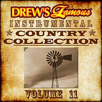 The Hit Crew – Drew's Famous Instrumental Country Collection, Vol. 11