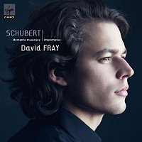 David Fray – Schubert Impromptus Op90 Moments Musicaux Allegretto in C minor