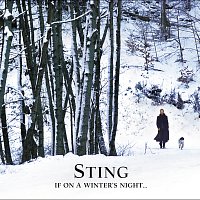 Sting – If On A Winter's Night