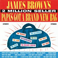 James Brown & The Famous Flames – Papa's Got A Brand New Bag