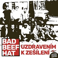 Bad Beef Hat – Uzdravením k zešílení LP