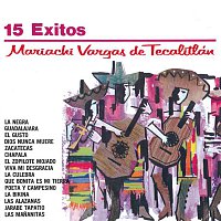 Mariachi Vargas De Tecalitlán – Serie Oro 15 Exitos Del Mariachi Vargas De Tecalitlan