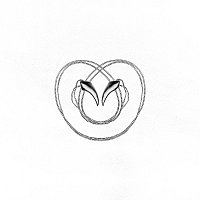 Přední strana obalu CD Knife