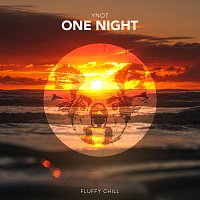 YNOT – One Night