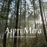 Brasschaats Mandoline Orkest – Aspri Mera
