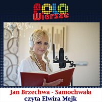 POLO Wiersze - Jan Brzechwa - Samochwała