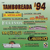 Přední strana obalu CD Tamboreada '94