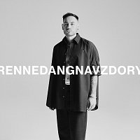 Přední strana obalu CD Navzdory [Deluxe]