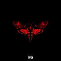 Lil Wayne – I Am Not A Human Being II