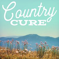 Různí interpreti – Country Cure