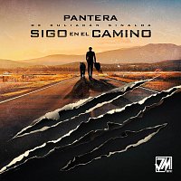 Pantera De Culiacan Sinaloa – Sigo En El Camino