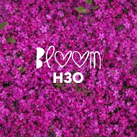 H3O, WRLDS – Bloom