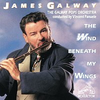 Přední strana obalu CD The Wind Beneath My Wings