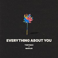 TobyMac – Everything About You