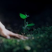 Přední strana obalu CD Extended Light and Remixes