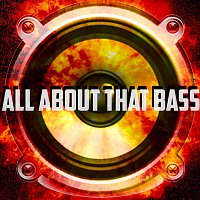 All About That Bass – All About That Bass (Meghan Trainor Cover)
