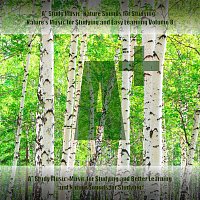 A+ Study Music: Nature Sounds for Studying - Nature's Music for Studying and Easy Learning, Vol. 8