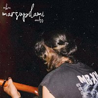 Přední strana obalu CD Marsupilami