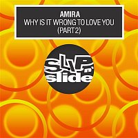 Amira – Why Is It Wrong To Love You (Pt. 2)