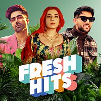 Různí interpreti – Fresh Hits