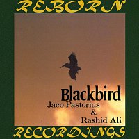 Blackbird (HD Remastered)