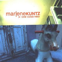 Marlene Kuntz – Che Cosa Vedi