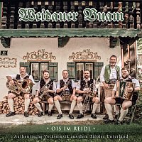 Různí interpreti – Ois im Reidl / Weidauer Buam / Authentische Volksmusik aus dem Tiroler Unterland