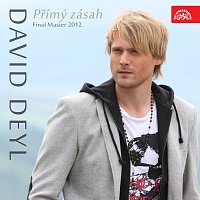 Přední strana obalu CD Přímý zásah (Final Master 2012) - Singl