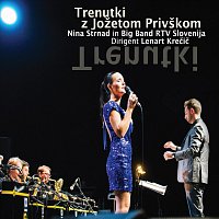 Nina Strnad, Big Band RTV Slovenija – Trenutki z Jožetom Privškom