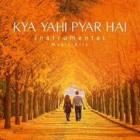 R. D. Burman, Shafaat Ali – Kya Yahi Pyar Hai [From "Rocky" / Instrumental Music Hits]