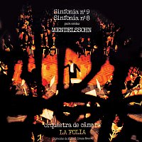 Orquestra De Camara La Folia, Miguel Graca Moura – Sinfonia Para Cordas N?9 E N?8 De Mendelssohn