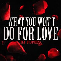 EJ Jones – What You Won’t Do for Love
