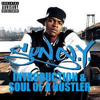 SunN.Y – Soul Of A Hustler / Introduction