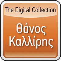 The Digital Collection