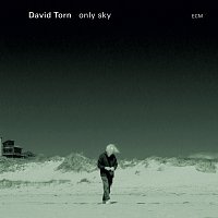 David Torn – Only Sky