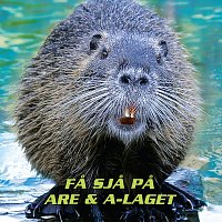 Are & A-Laget – Fa sja pa