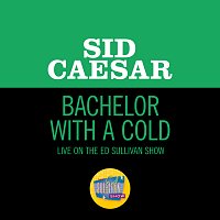 Sid Caesar – Bachelor With A Cold [Live On The Ed Sullivan Show, December 6, 1964]