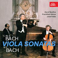 Přední strana obalu CD Bach & Bach: Sonáty pro violu a cembalo