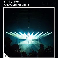 Rully Dtm – Disko Kelap Kelip