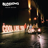 Cool Like You [Deluxe]