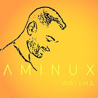 Přední strana obalu CD Wayema