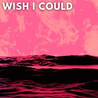 Přední strana obalu CD Wish I Could